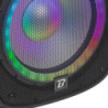 BOOMTONE DJ PS212A LED Set