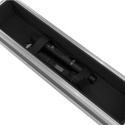 PLUGGER CASE Flight case Rack 2U short