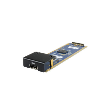 RGBLINK Input Option 190-0001-13-2