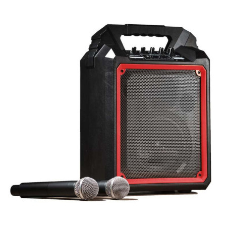SEGON PROFESSIONAL AUDIO RUNNER10R