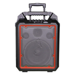 SEGON PROFESSIONAL AUDIO RUNNER10R
