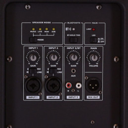 DEFINITIVE AUDIO PANDA 12A BT