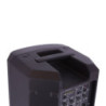 DEFINITIVE AUDIO PANDA 8A BT