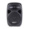 POWER ACOUSTICS TESLA 12P