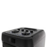 POWER ACOUSTICS GOFUN 300