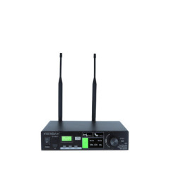 DEFINITIVE AUDIO TD 100 PT