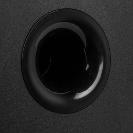 SW80D Subwoofer Act 160W