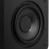 SW80D Subwoofer Act 160W