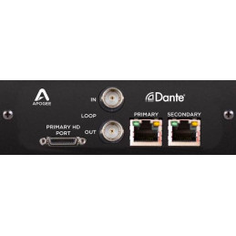 Apogee Dante Option Card