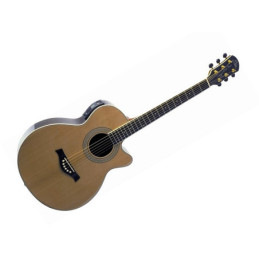 Eko Riccardo Zappa Signature | Disalvatoremusicstore.it