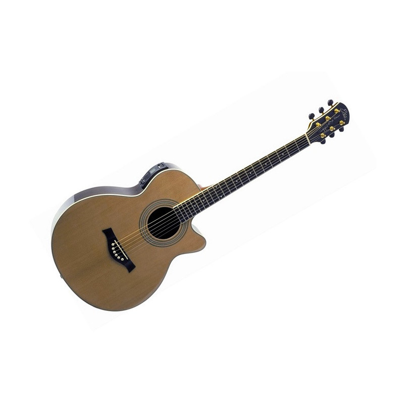 Eko Riccardo Zappa Signature | Disalvatoremusicstore.it