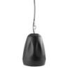 PDS65B Pendant Speak.60W 100V Black