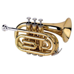 ALYSÉE TR-6500 - laccata