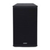 SAMSON RSX115 - Diffusore Passivo - 600W