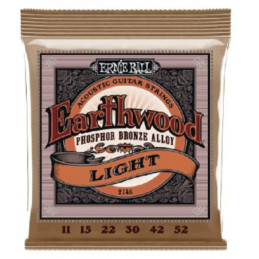 ERNIE BALL 2148 EARTHWOOD PHOSPHOR | Disalvatoremusicstore.it