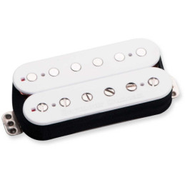 RADIAL ENGINEERING mPress | Disalvatoremusicstore.it