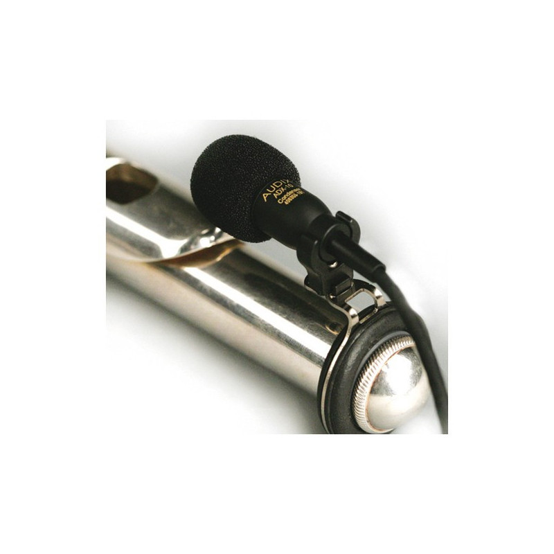 AUDIX ADX10-FL | Disalvatoremusicstore.it