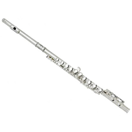 GRASSI GR SFL290 | Disalvatoremusicstore.it