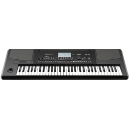 KORG Pa300 | Disalvatoremusicstore.it