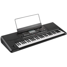 KORG Pa300 | Disalvatoremusicstore.it