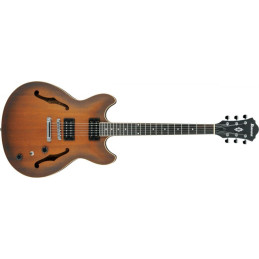 IBANEZ AS53-TF | Disalvatoremusicstore.it