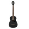 Ibanez PCBE14MH WK
