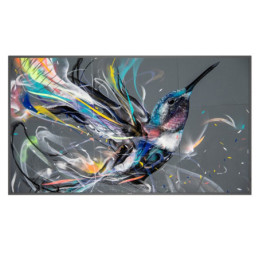 CELEXON 1090016 | Disalvatoremusicstore.it