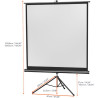 CELEXON Tripod Economy 1090016