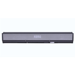 KORG PAAS 2 | Disalvatoremusicstore.it