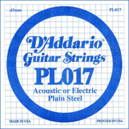 SINGL PLAIN PL OO17 | Disalvatoremusicstore.it