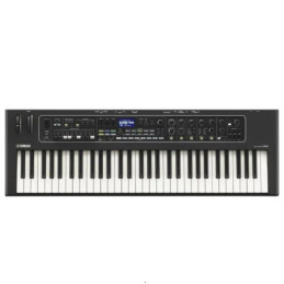 Yamaha CK61 | Disalvatoremusicstore.it