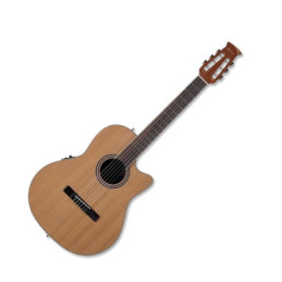 APPLAUSE AB24CII MID | Disalvatoremusicstore.it