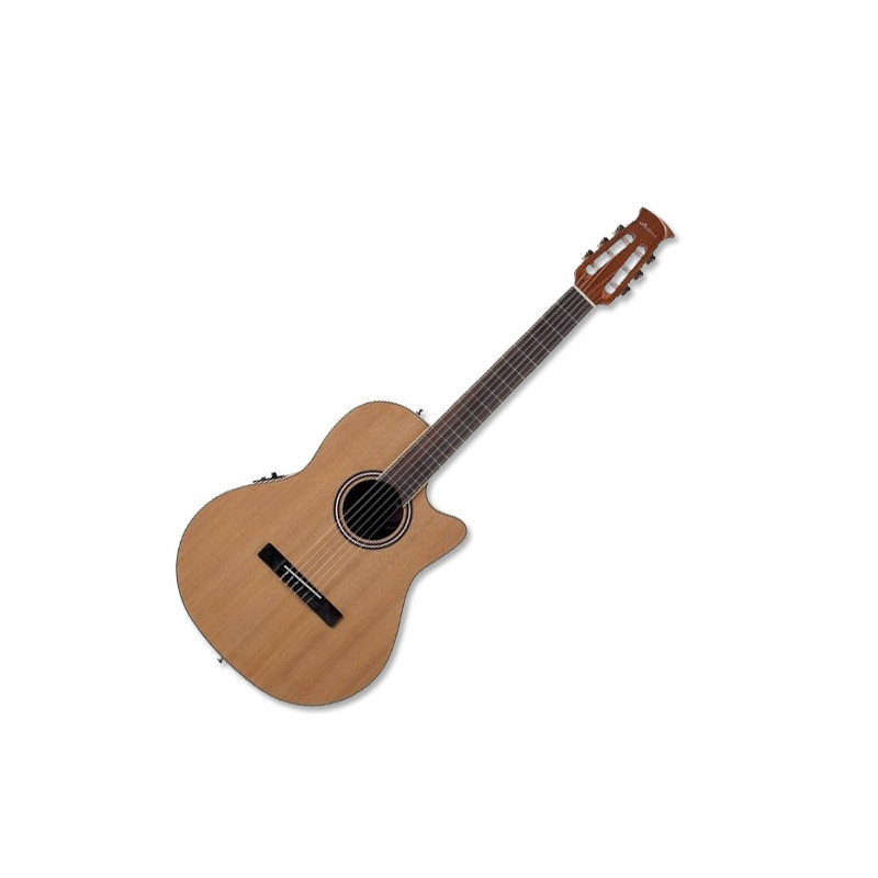 APPLAUSE AB24CII MID | Disalvatoremusicstore.it