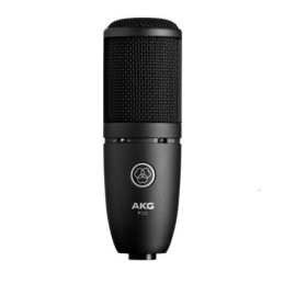 AKG P120 | Disalvatoremusicstore.it