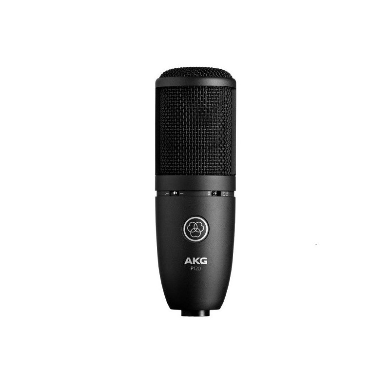 AKG P120 | Disalvatoremusicstore.it