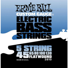 ERNIE BALL 2810 5S FWND MUTA BA.045-130 | Disalvatoremusicstore.it