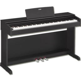 ARYUS YDP144 Palissandro | Disalvatoremusicstore.it