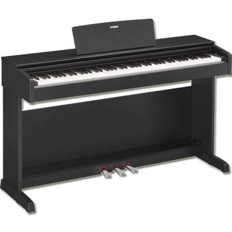 ARYUS YDP144 Palissandro | Disalvatoremusicstore.it