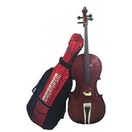Affinity Telecaster® Maple Fingerboard, Black | Disalvatoremusicsto...