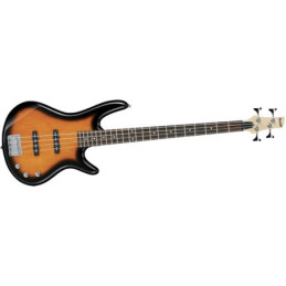 EKO CYCLOPE AMPLIFICATORE | Disalvatoremusicstore.it
