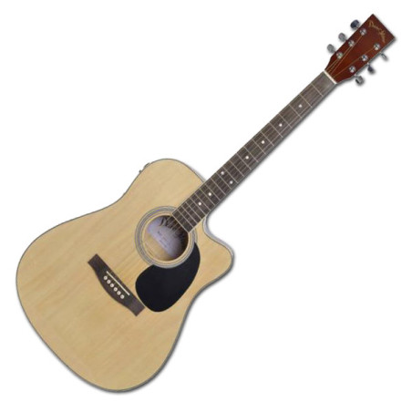 DT AG1CENT Acustica elttrificata spalla mancante | Disalvatoremusic...