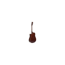 DT AG1CENT Acustica elttrificata spalla mancante | Disalvatoremusic...