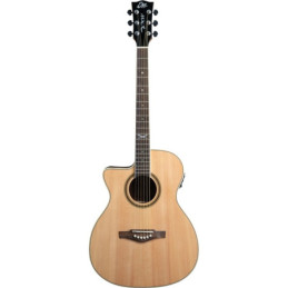 EKO GUITARS NXT A100ce LH Natural | Disalvatoremusicstore.it