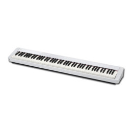 PX-S1100 White | Disalvatoremusicstore.it