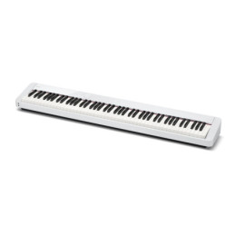 PX-S1100 White | Disalvatoremusicstore.it