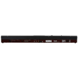 PA4X-76 TASTIERA | Disalvatoremusicstore.it