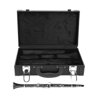 Astucci per clarinetti